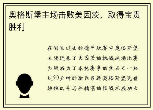 奥格斯堡主场击败美因茨，取得宝贵胜利